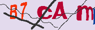 Captcha認証コード